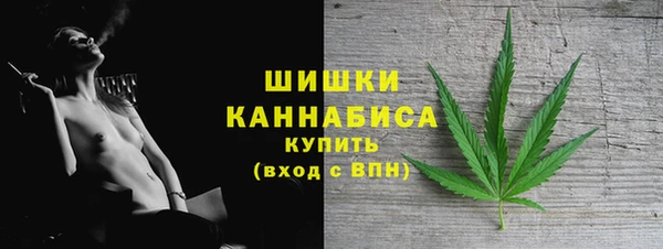 spice Бородино