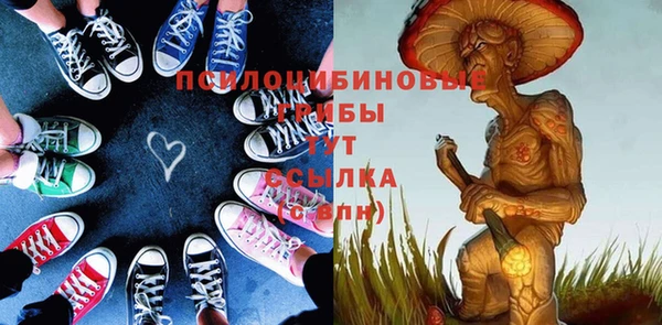 таблы Богородицк