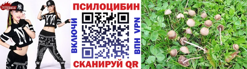 Галлюциногенные грибы мицелий  Купить  Белебей 